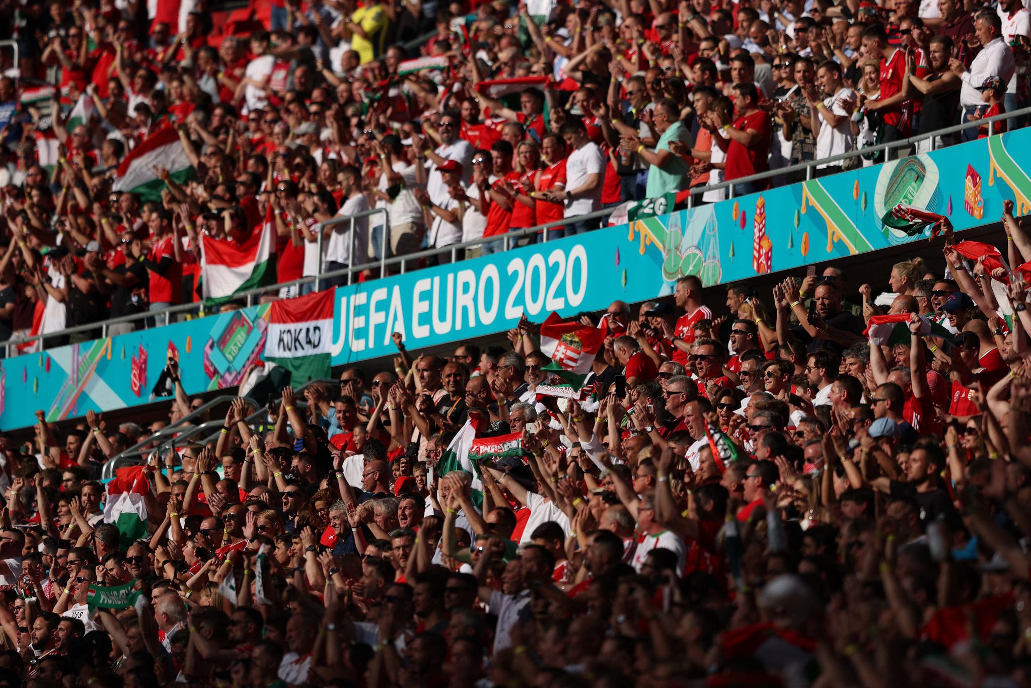 猫粮包装设计_东莞产品包装盒设计